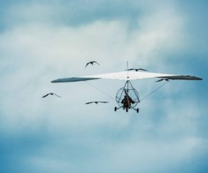 Microlight flying across a blue cloudy sky and surrounded by cranes